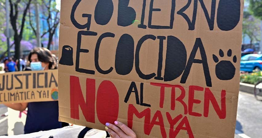 AMLO arremete contra ambientalistas tras suspensión de Tren Maya
