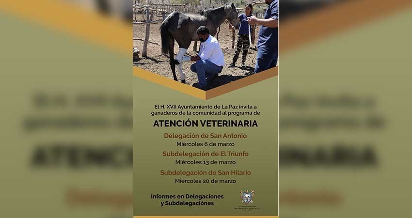 Invita el Ayto de La Paz al Programa de Atención Veterinaria en zonas rurales
