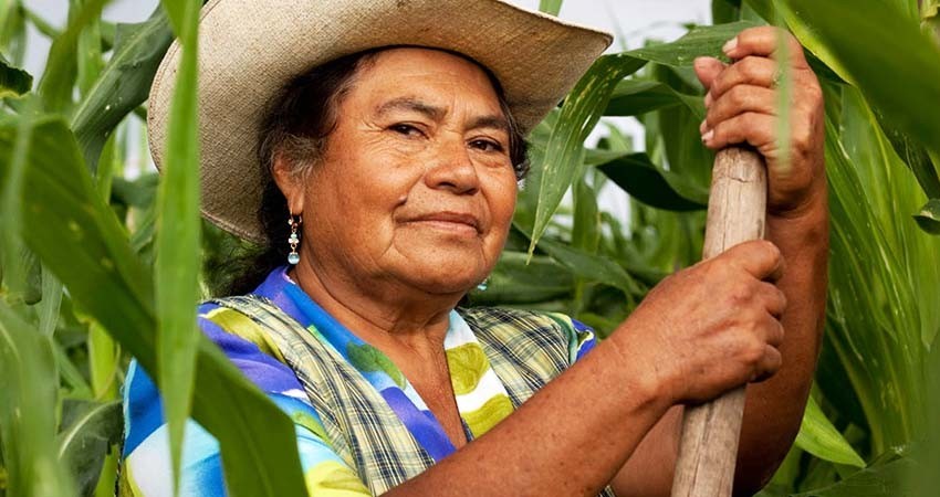 Cámara de Diputados declara el 9M Como 'Día Nacional Sin Nosotras'
