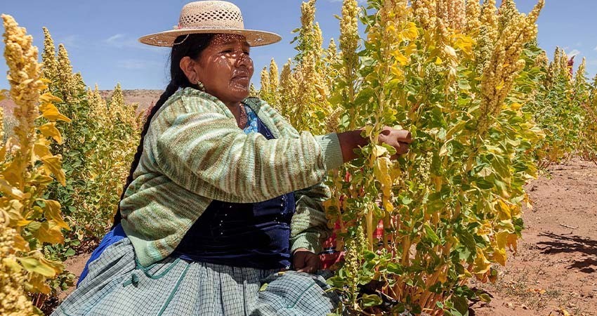 FAO llama a no dejar a “nadie atrás” en América Latina y el Caribe