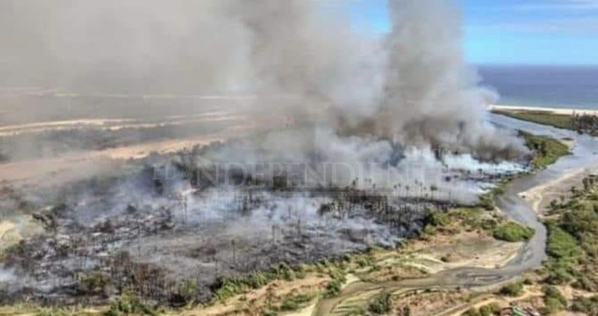 40 hectáreas las afectadas por el último incendio en el Estero de SJC