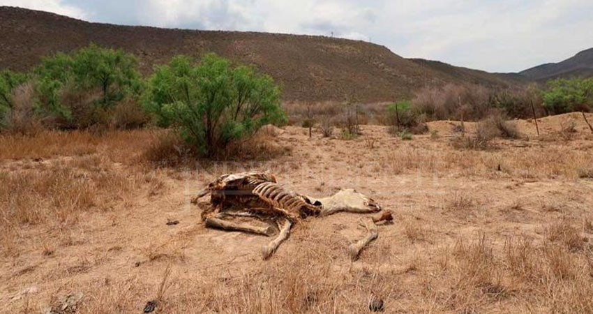 Baja California Sur, entre entidades más afectadas por la sequía; INEGI