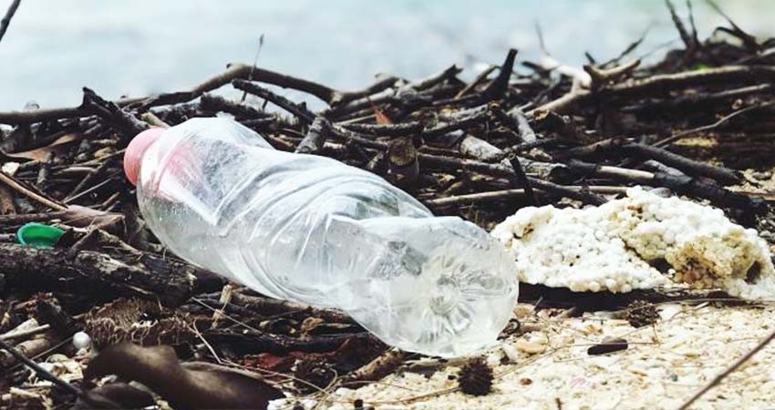 WWF impulsa en México un pacto empresarial para reducir el uso del plástico