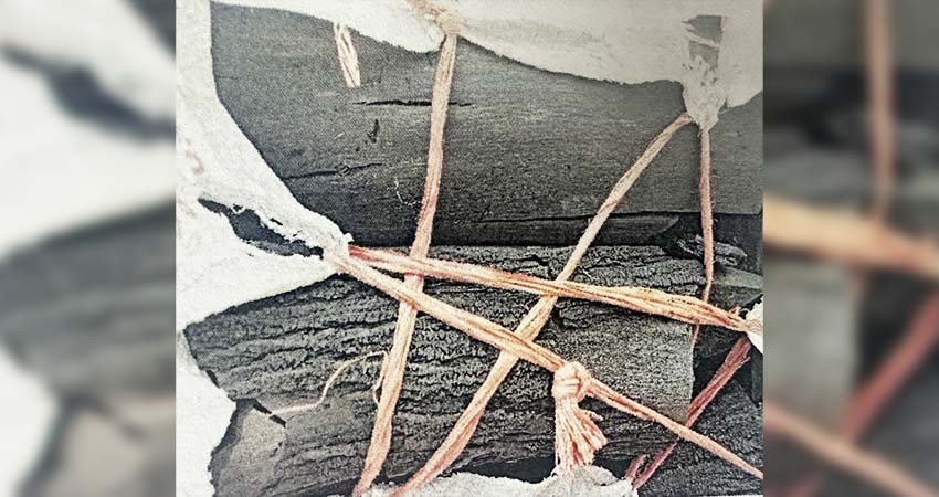 Por delito contra la gestión ambiental, vinculan a proceso contra dos personas en BCS