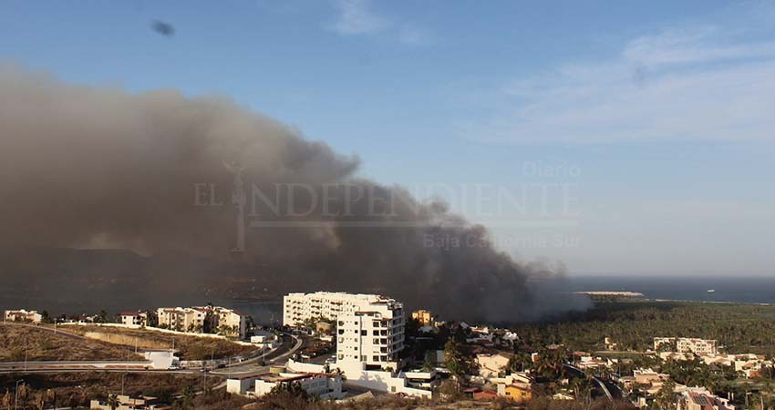 Por falta de nuevas Leyes en materia de ecología, estero de SJC sigue siendo blanco de incendios: Montoya Terrazas