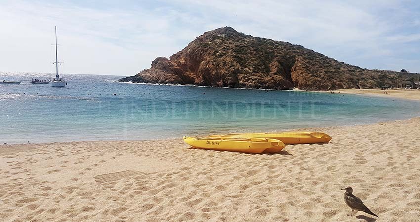 Playas de BCS en óptimas condiciones para uso recreativo: COEPRIS