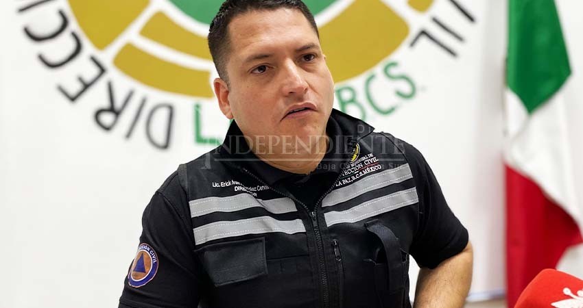 Coordinarán PC La Paz y CFE programa de poda de árboles para prevenir accidentes por temporada de huracanes