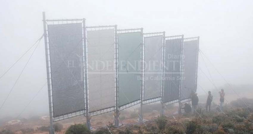 UABCS presenta proyecto de Atrapanieblas y neblinómetros para la captación de agua en BCS
