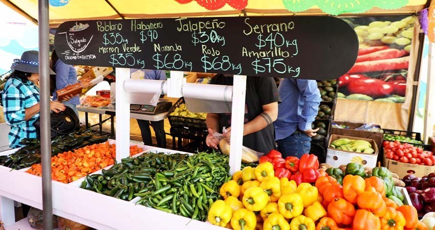 Asiste Presidenta Municipal al XI Festival del Chile y la Fresa en El Pescadero