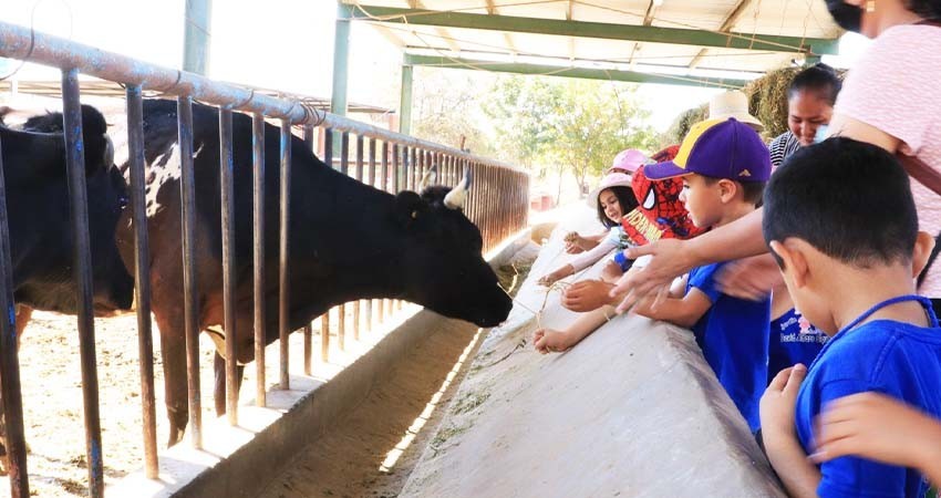 Promueve UABCS el conocimiento de los animales de granja mediante visitas guiadas a su Posta Zootécnica