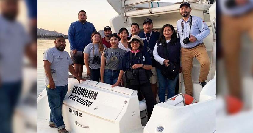 Zarpa Crucero de Observación Vaquita Marina 2024