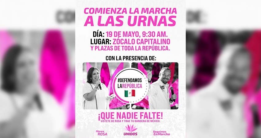 Si Xóchitl va al mitin de 'Marea Rosa', INE fiscalizará: Taddei