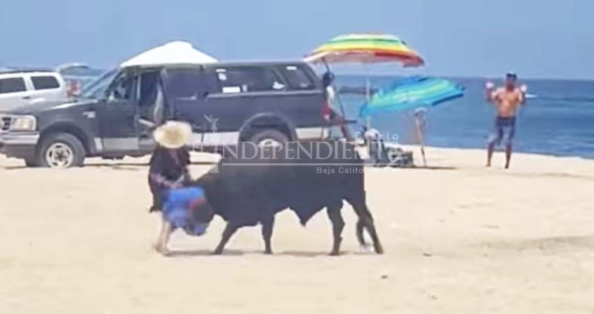 En riesgo pobladores y turistas de playa La Fortuna por un toro suelto en el lugar
