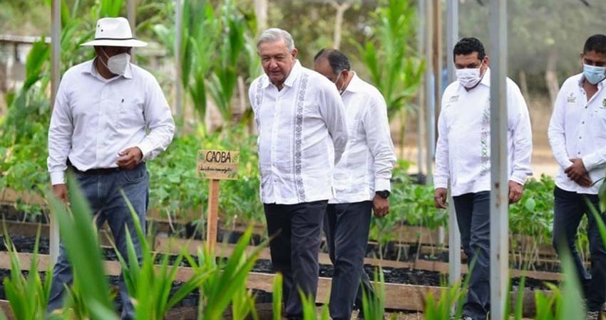 AMLO ante calor histórico: “Sembrando vida, lo mejor que se ha hecho en mi gobierno”