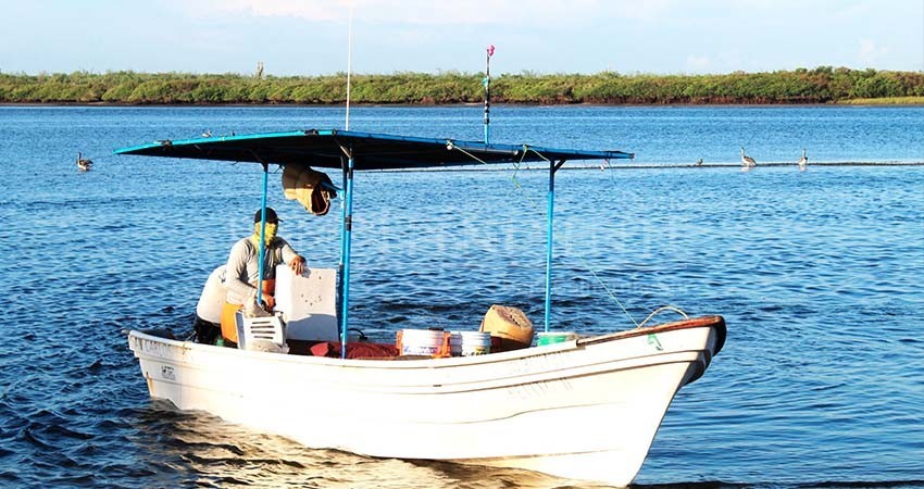 Trabaja gobierno de BCS en certificación para exportación de productos pesqueros