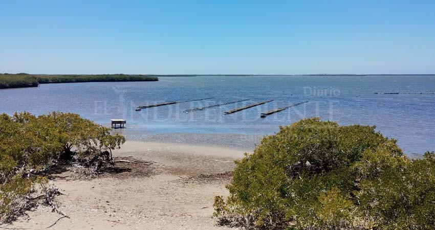 Recorre SEPADA y CESA campos acuícolas del municipio de Comondú