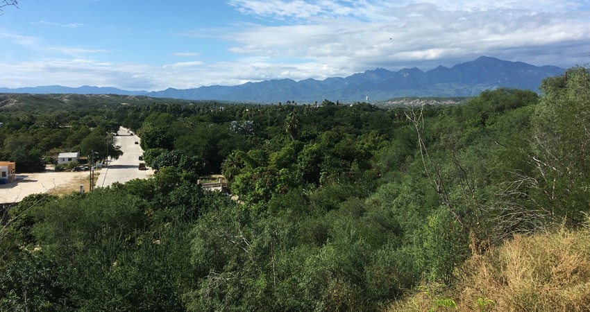 Invitan al ciclo de conferencias en la UABCS por el XXX Aniversario de la Reserva de la Biósfera Sierra La Laguna