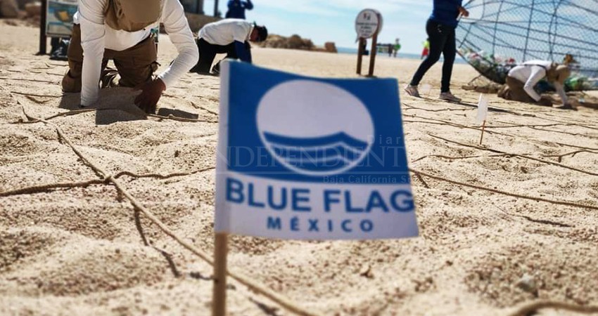 Jurado Blue Flag aprueba renovación de banderas azules para playas de Los Cabos