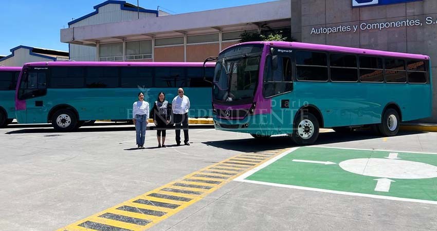 17 unidades del Tiburón Ballena darán inicio a la modernización del transporte en La Paz