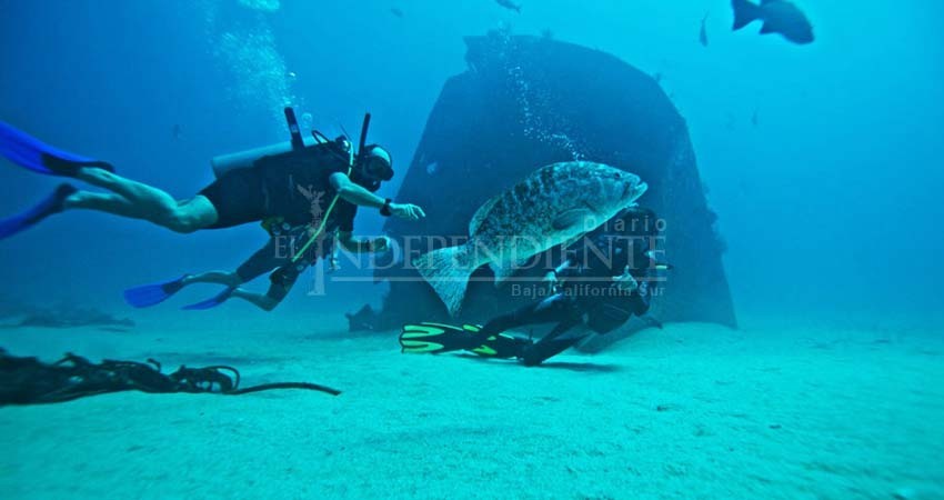 Los Cabos en mejor panorama que Cancún por impacto a medio ambiente del turismo: ONG