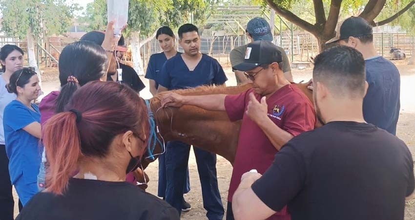 Apoya Gobierno Municipal a estudiantes de la UABCS con prácticas veterinarias