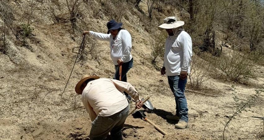 Aumenta el número de fosas clandestinas en Los Cabos