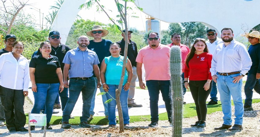 Conmemora la Dirección General de Servicios Públicos el Día Nacional del Árbol