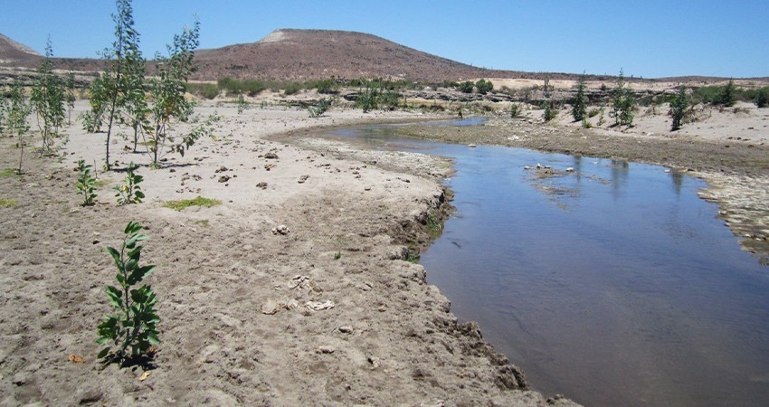 Estudia UABCS la intrusión salina en acuíferos de la entidad