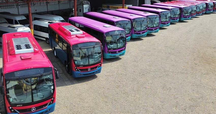 En agosto pondrán en marcha en La Paz las nuevas unidades del Tiburón Urbano