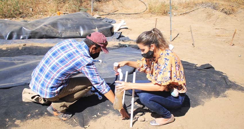 Promueve UABCS el uso de biodigestores y humedales artificiales para tratar aguas residuales