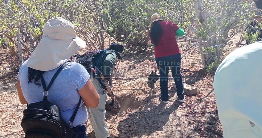 Más fosas. Localizan nuevos entierros clandestinos en CSL
