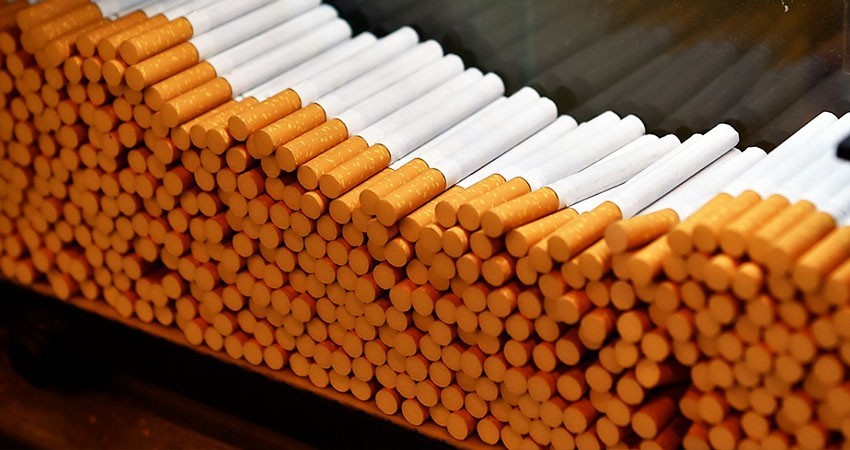 Investigadora de UABCS colabora en proyecto sobre comercio ilícito del tabaco en BCS