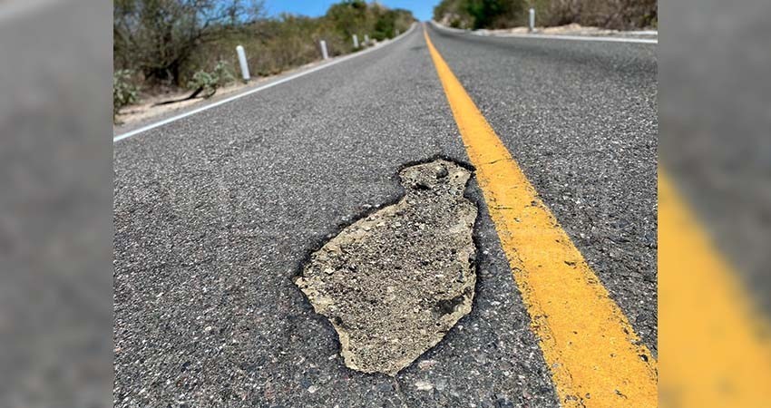 Castro Cosío: La próxima administración federal modernizará la carretera transpeninsular