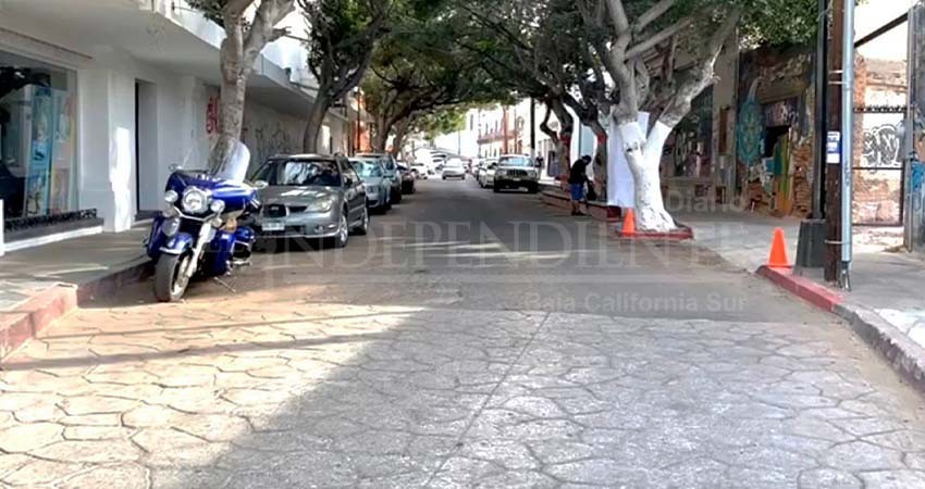 Sin avances el plan de conversión de la calle Ignacio Zaragoza a calle peatonal: Castro Ríos