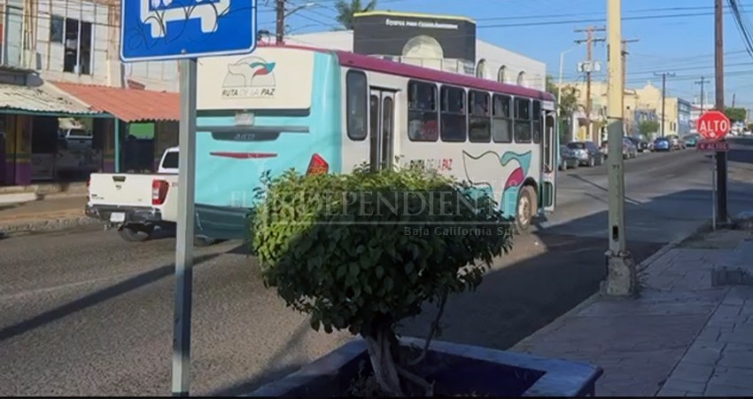 En La Paz, construirán nuevos paraderos de autobuses para el Tiburón Urbano