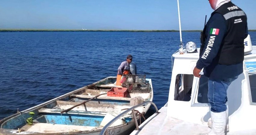 Instala FONMAR vigilancia para prevenir redes de pesca fantasma en Comondú