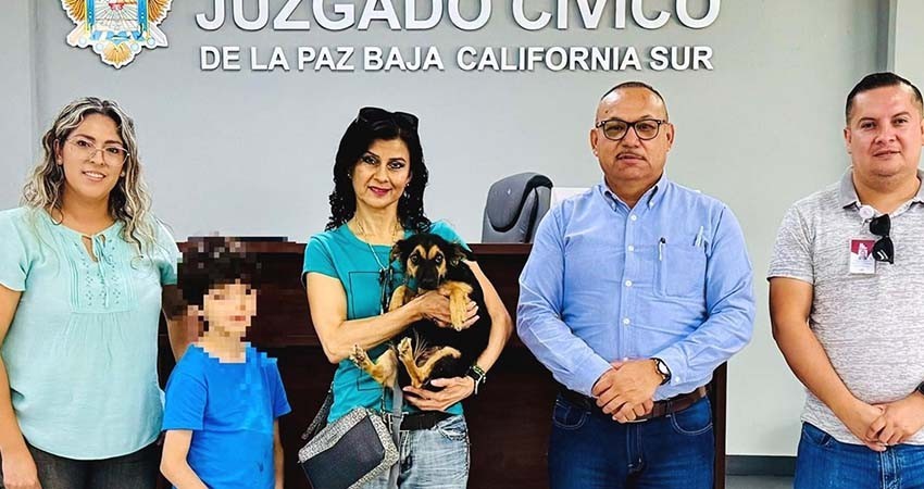 Llevó a cabo el CEMAC 30 adopciones en el mes de julio