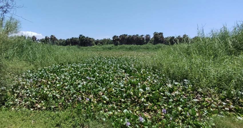 Planta de tratamiento de aguas residuales vierte el 80% del agua en el Estero Josefino