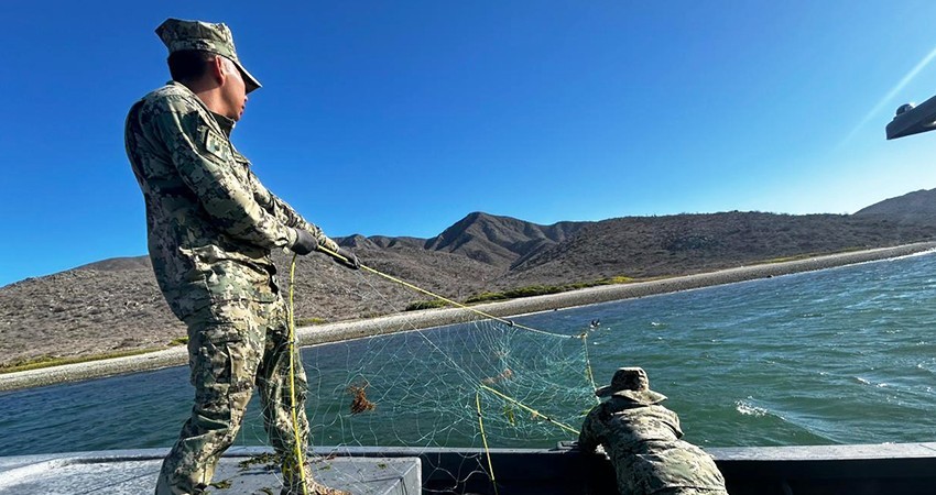 Marina en coordinación con la CONAPESCA contribuyen con la preservación de especies marinas en veda y en peligro de extinción en BCS