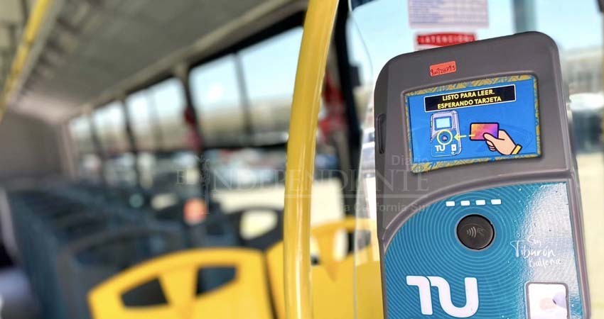 Este lunes inician las nuevas rutas del Tiburón Urbano en La Paz; dos días será gratuito