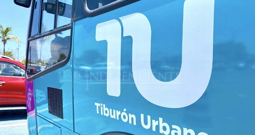 Este lunes se activan las dos rutas del Tiburón Urbano en La Paz