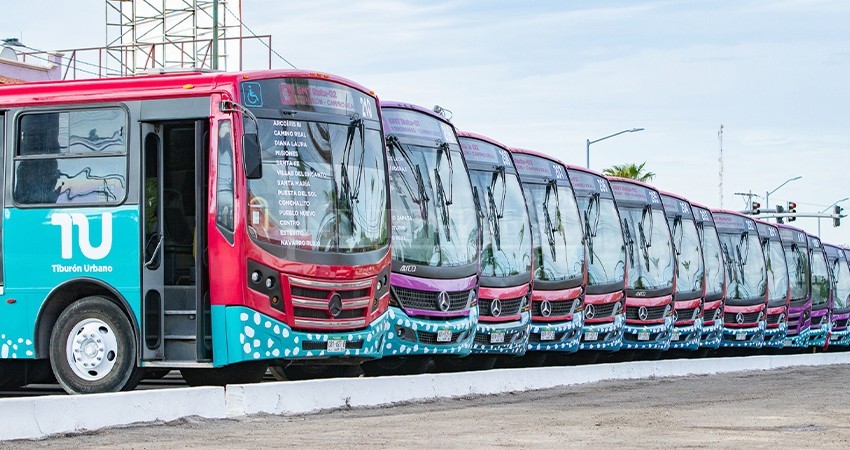 Tiburón Urbano: Entra en operaciones el nuevo transporte público de La Paz