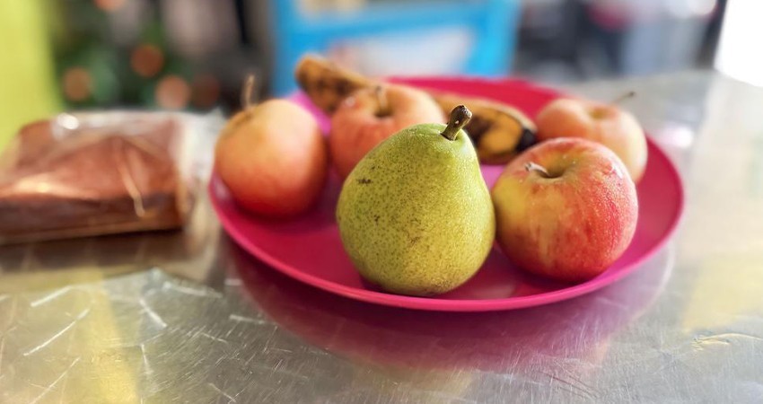 Recomiendan expertos en salud implementar hábitos saludables en estudiantes