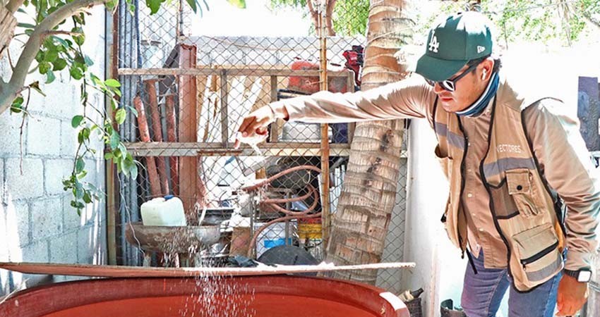 Brigadas de control larvario han trabajado en más de 32 mil viviendas en BCS para prevenir el dengue