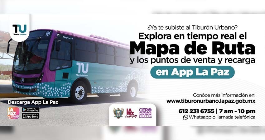 Atienden corporaciones de seguridad llamado del botón de pánico en el Tiburón Urbano