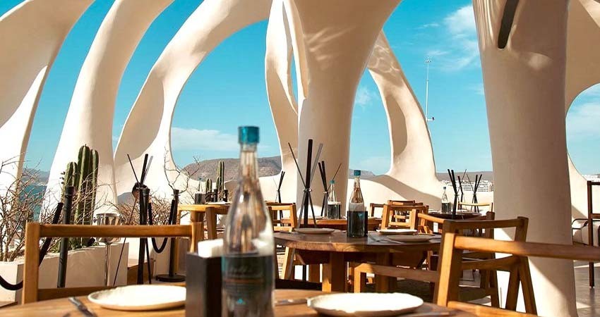 Celebra CANIRAC apertura de 50 nuevos restaurantes en La Paz