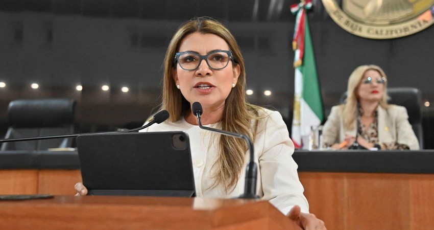 Una burda mentira que México tiene mejor sistema de salud que Dinamarca: Saldaña Cisneros