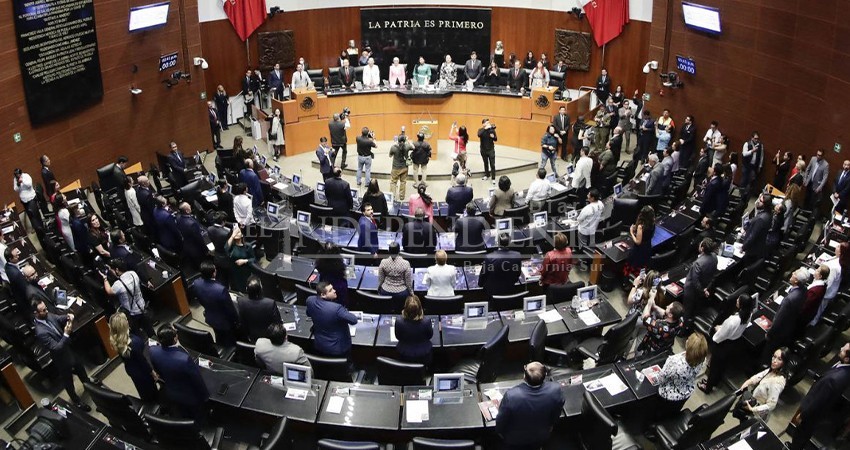 La reforma judicial es una regresión para la justicia ambiental: CEMDA