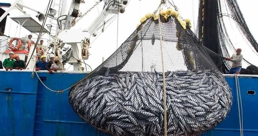 Estados Unidos sanciona a México por pesca ilegal y prácticas dañinas para especies protegidas