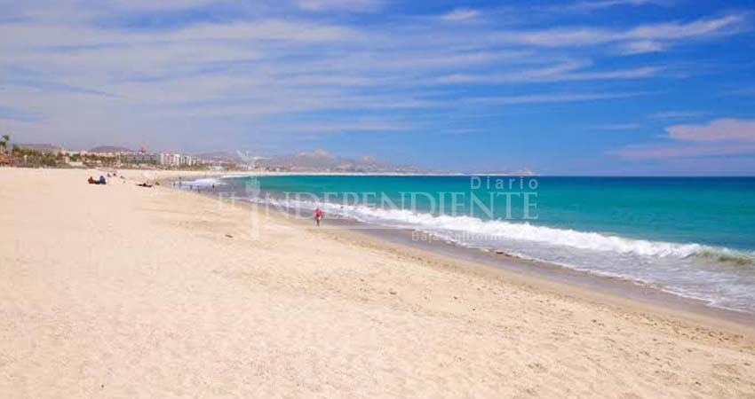 Ordena ZOFEMAT Los Cabos el cierre temporal de playa Costa Azul, por presencia de tiburón